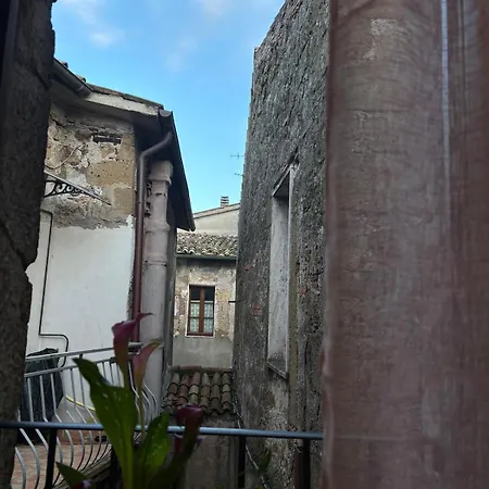 Casetta Privata Nel Corso Apartamento